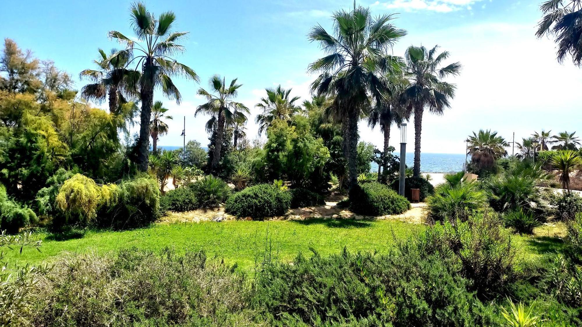 Punta Prima Torrevieja Fantazy01アパートメント エクステリア 写真
