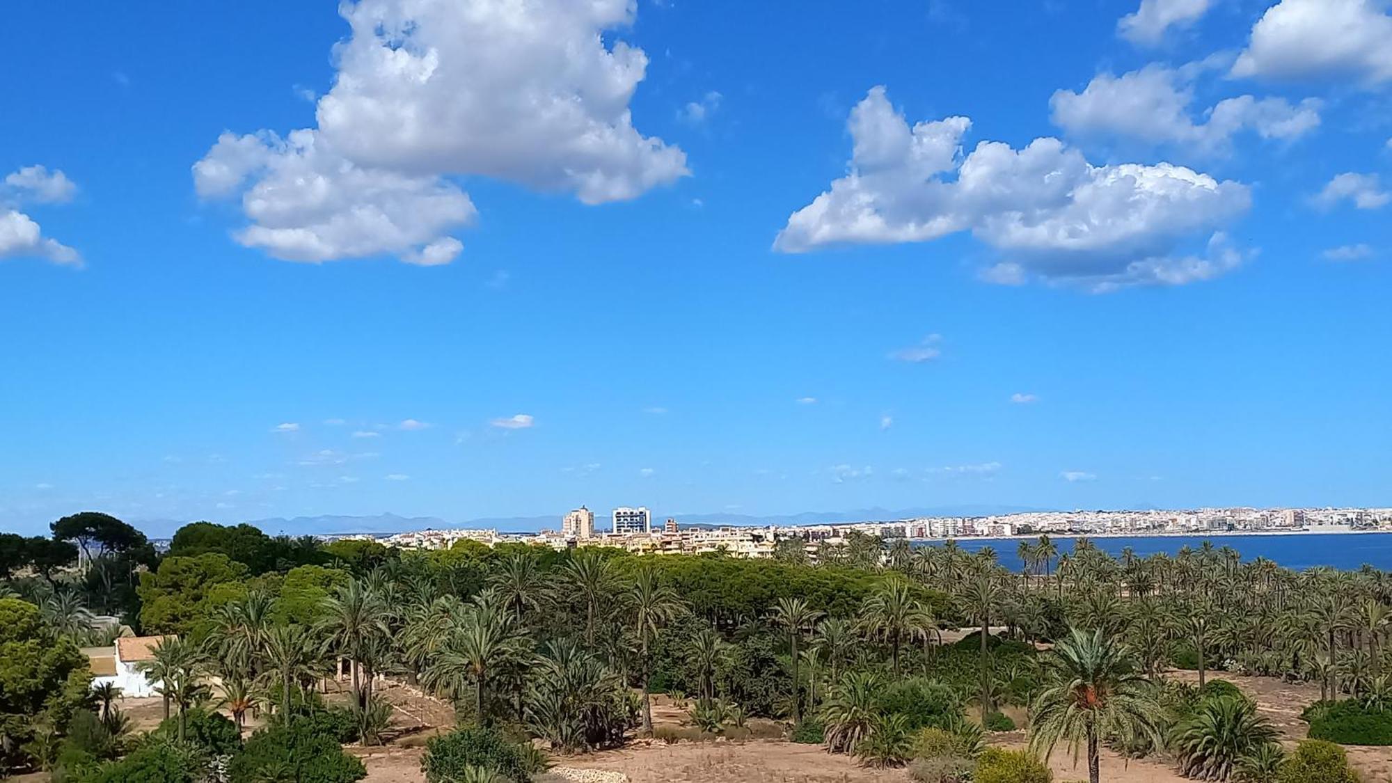 Punta Prima Torrevieja Fantazy01アパートメント エクステリア 写真