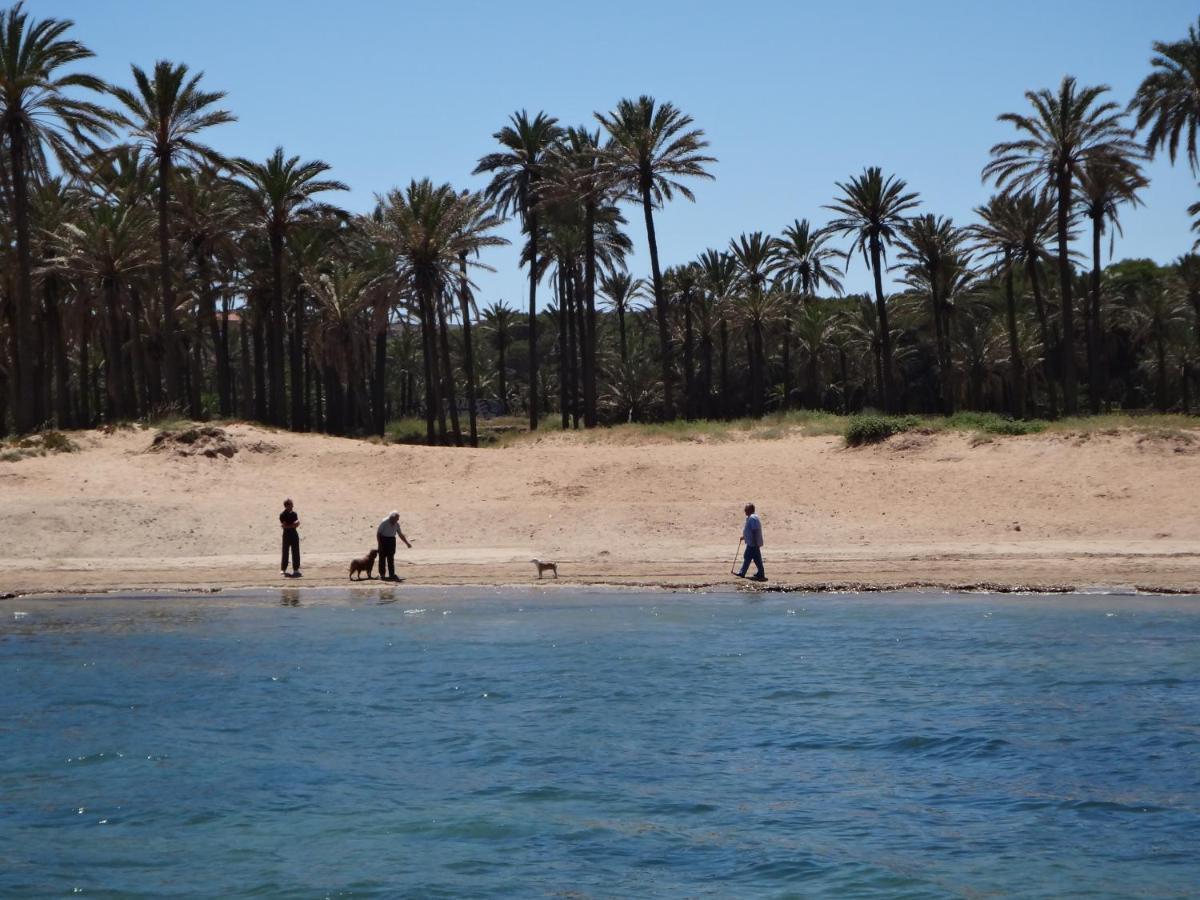 Punta Prima Torrevieja Fantazy01アパートメント エクステリア 写真