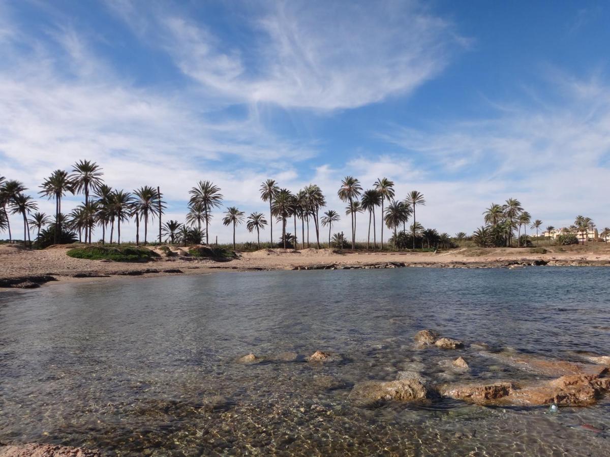 Punta Prima Torrevieja Fantazy01アパートメント エクステリア 写真